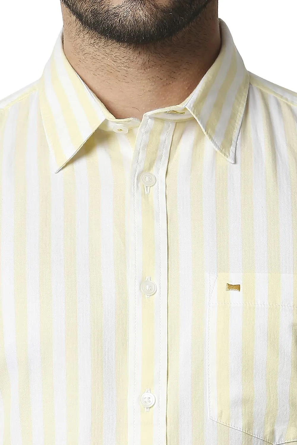 Slim Fit Twill Stripe Shirt